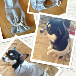 mappyさんの作品