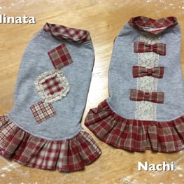 か〜ちゃさんの作品