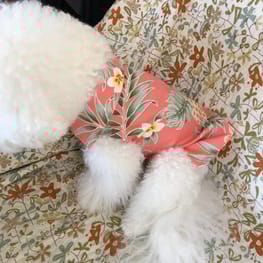 みちもこさんの作品