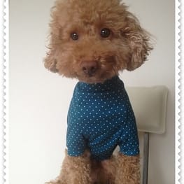 blancoさんの作品