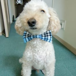 ぶらんさんの作品