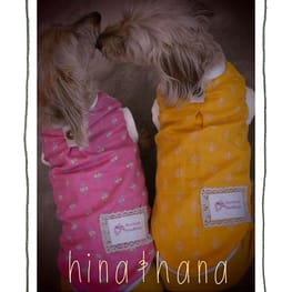 ひなはなさんの作品