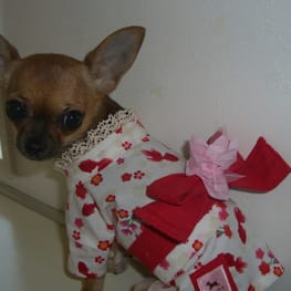 さちママさんの作品