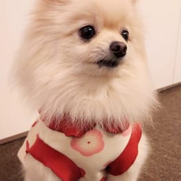 にこママさんの作品