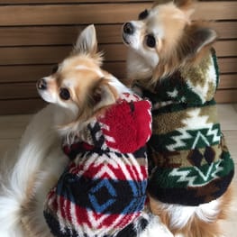 masakoさんの作品