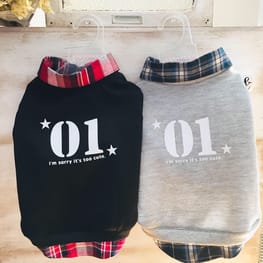 ayuppeさんの作品