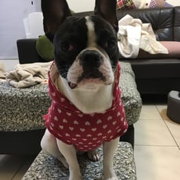 angelin40さんの作品