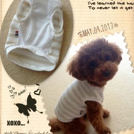 yuccoさんの作品