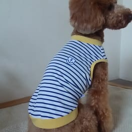 マーロンmamaさんの作品