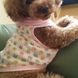 ななびさんの作品