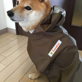 レインコート Millacra 愛犬のための犬服 ペット服の型紙通販 作り方 教室 Milla Milla