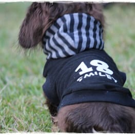 akizoo88さんの作品