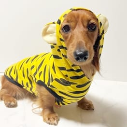 たまちゃんさんの作品