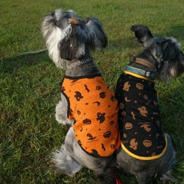 ひろ姉さんの作品