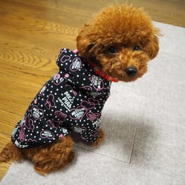 アロモアママさんの作品