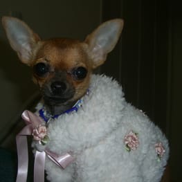 さちママさんの作品