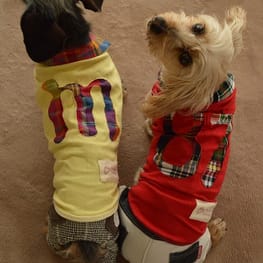 ひなはなさんの作品