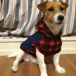 ちぃこさんの作品