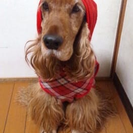 晴ママさんの作品