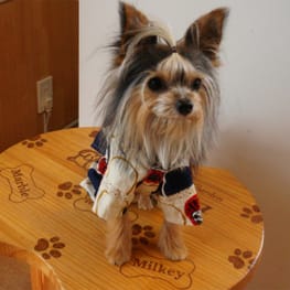 ちみこママさんの作品