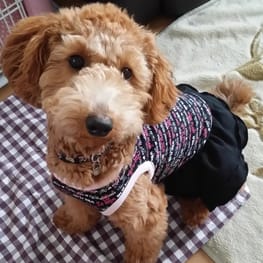 luce*さんの作品