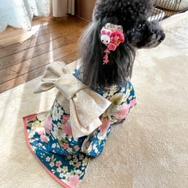 ちゃちゃさんの作品