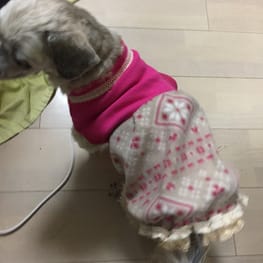 か〜ちゃさんの作品