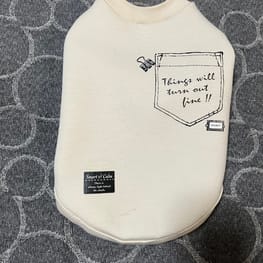 バッシーさんの作品