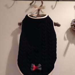 モルモさんの作品