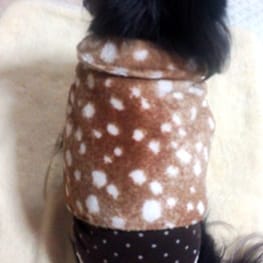 はなぴょんさんの作品