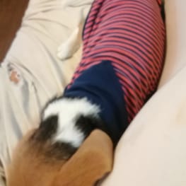 ウィンさんの作品