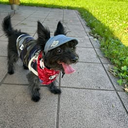 わぐこまさんの作品