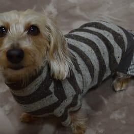 ひなはなさんの作品