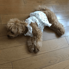 あ～すけさんの作品