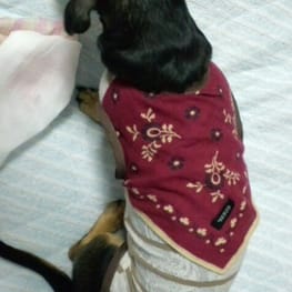 きよぽんさんの作品