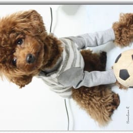 RinJuRiさんの作品