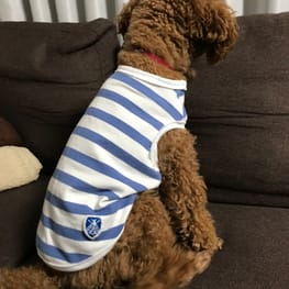 あられママさんの作品