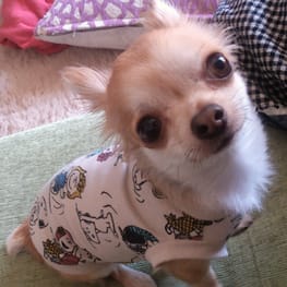 キャサリンさんの作品