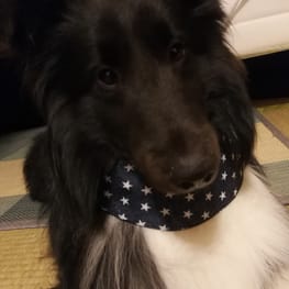 CRなおちゃんさんの作品