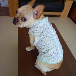 みみたんさんの作品