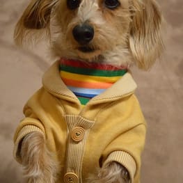 ひなはなさんの作品