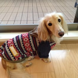 ココ母さんの作品