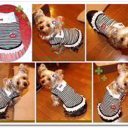 なおまろんさんの作品