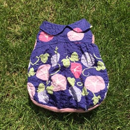 いわしさんの作品