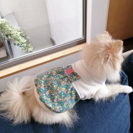 にこママさんの作品