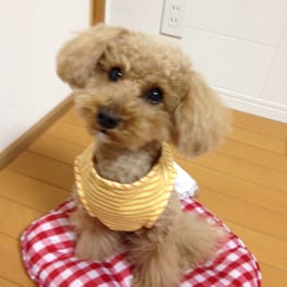 らくすさんの作品