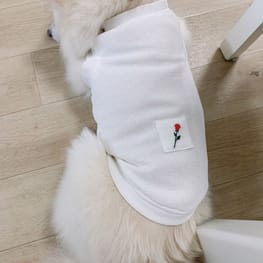 WKSchatzさんの作品