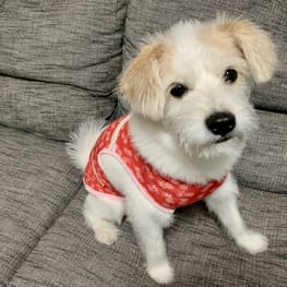 だぎりんさんの作品