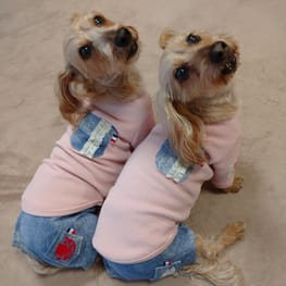 ひなはなさんの作品