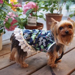 やすべえさんの作品